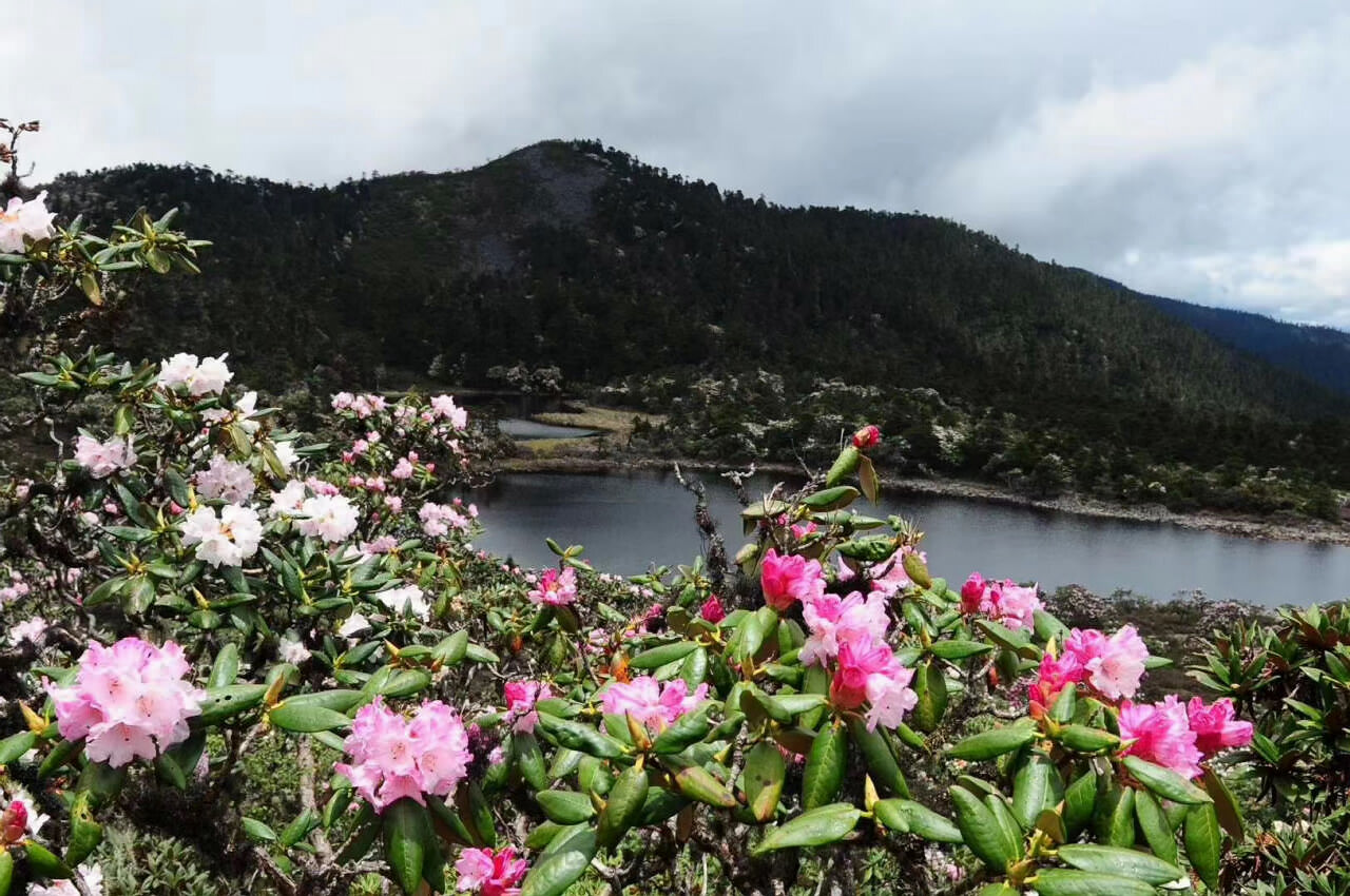 大理蒼山洗馬潭景區戶外徒步拓展旅游全攻略