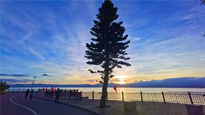 大理濃烈的夏日味道，都藏在洱海生態(tài)廊道