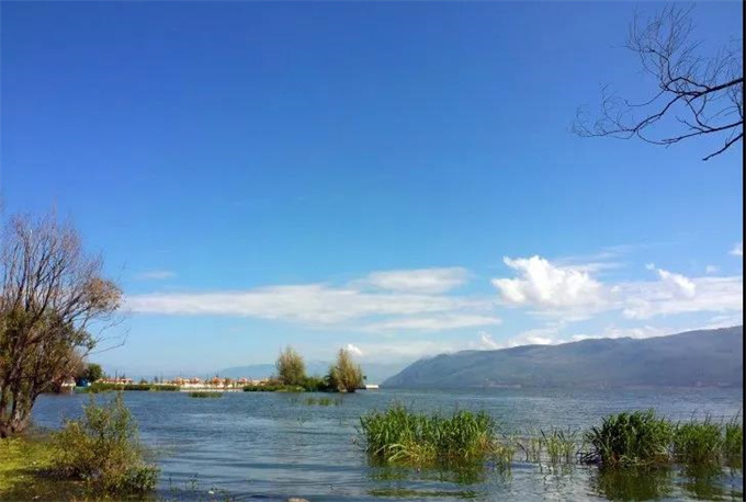 才村濕地公園｜浪漫的海邊濕地 大理徒步線路中的最美公園